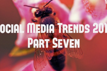 content marketing gets buzzy